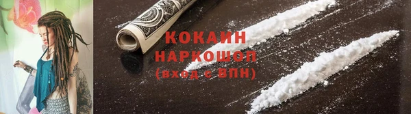 сатива Михайловка