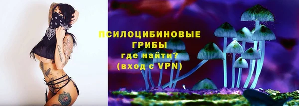 индика Ачинск