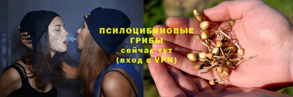 сатива Михайловка