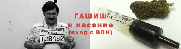 сатива Михайловка