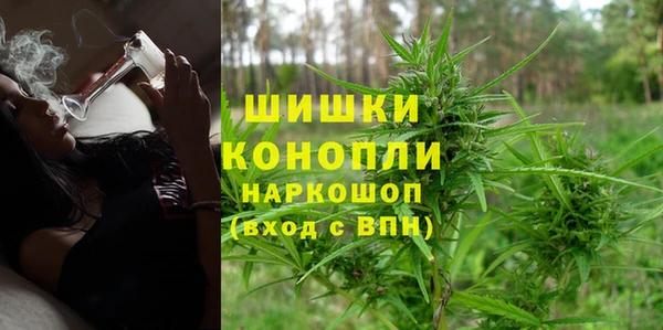 сатива Михайловка